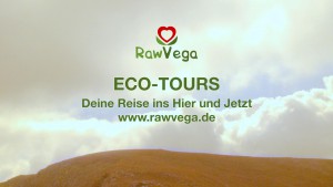 RawVega Eco tours Logo